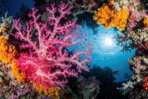 Vibrant coral reef with colorful marine life and sunlight. photo