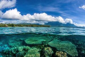 Vibrant underwater coral reef with mountains in background. photo