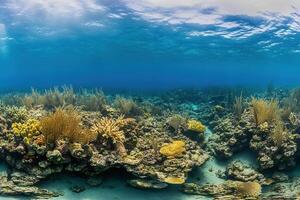 Vibrant underwater coral reef ecosystem. photo