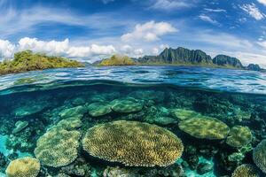 Vibrant underwater coral reef scene with mountain backdrop. photo