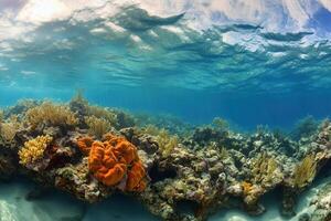 Vibrant underwater coral reef scene with sunlight filtering. photo