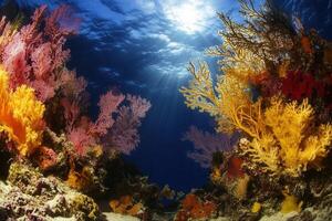 Vibrant coral reef teeming with marine life and color. photo