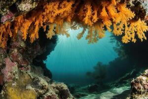 Vibrant underwater scene with orange coral formations. photo