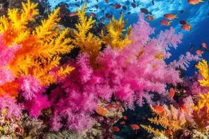 Vibrant coral reef with colorful marine life. photo
