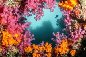 Vibrant coral reef with colorful marine life. photo