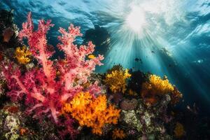 Vibrant coral reef with colorful marine life. photo