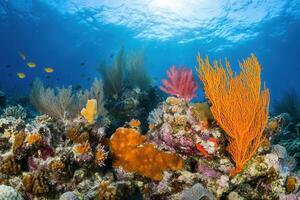 Vibrant coral reef with diverse marine life and colors. photo