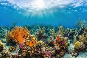 Vibrant underwater scene with coral and marine life. photo