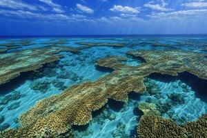 Vibrant coral reef under clear blue ocean waters. photo