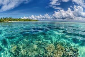 Vibrant coral reef under clear turquoise waters. photo