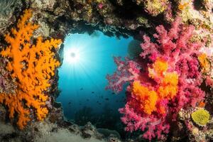 Vibrant coral reef with sunlit underwater scene. photo