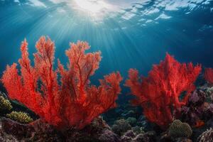 Vibrant coral underwater scene with sunlight rays. photo