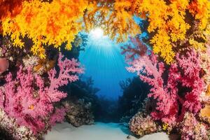 Vibrant underwater coral reef scene with sunlight rays. photo