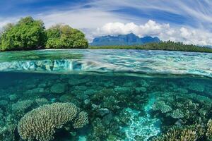 Vibrant underwater coral reef with lush shoreline backdrop. photo