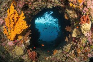 Vibrant underwater scene through a coral-encrusted opening. photo