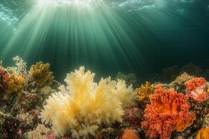 Vibrant underwater coral reef with sunlight rays. photo