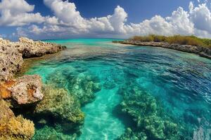 Vibrant underwater scene with clear turquoise waters. photo
