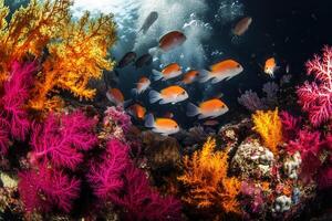 Vibrant underwater scene with colorful coral and fish. photo