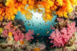 Vibrant underwater scene with colorful coral and fish. photo