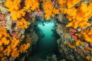 Vibrant underwater scene with colorful coral formations. photo