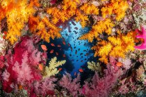 Vibrant underwater scene with colorful corals and fish. photo
