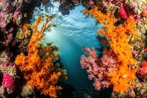 Vibrant underwater scene with colorful corals. photo