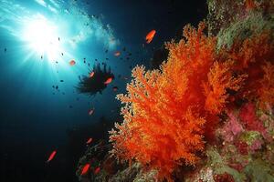 Vibrant underwater scene with coral and fish. photo
