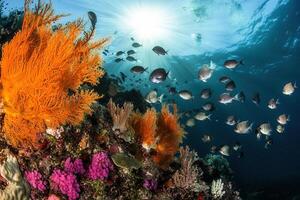 Vibrant underwater scene with coral and fish. photo