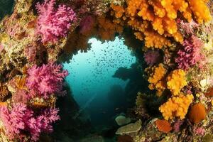 Vibrant underwater scene with coral and fish. photo