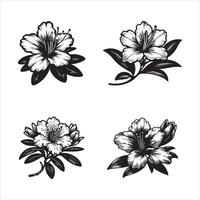 Azalea Dreams Colors of Spring vector