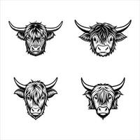 Highland Glance A Curious Cows View vector