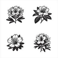 Azalea Dawn A New Day in Bloom vector