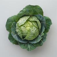 Cabbage in full bloom, showcasing its intricate veins and layers. photo
