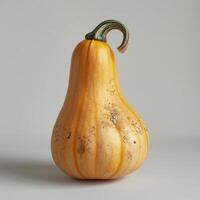 A ripe yellow pumpkin with a brown handle, sitting against a white background. photo
