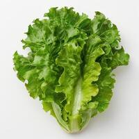 a close up of a leafy green vegetable photo