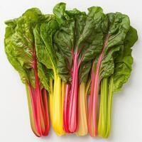 a group of leafy vegetables with different colored stems photo
