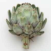 an artichoke is shown on a white background photo