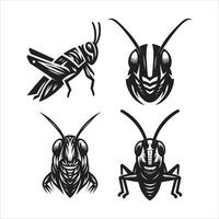 Portrait of a Grasshopper vector