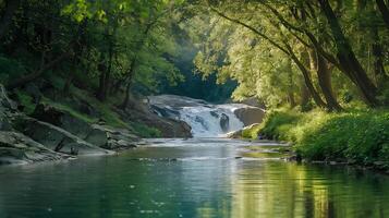 A river flowing through a forest with trees photo