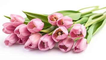 A bouquet of pink tulips is arranged in a row. The flowers are fresh and vibrant, with their petals open and ready to be admired. The arrangement is simple yet elegant, with the tulips standing tall photo