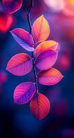 A close up of a leafy branch with purple and orange leaves. The image has a calming and serene mood, as the colors of the leaves are soft and soothing photo