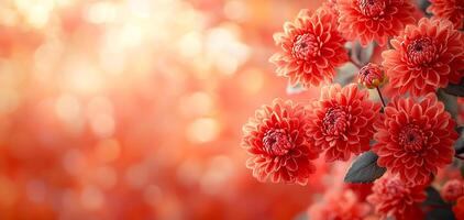 A close up of a red flower with a blurry background. The flower is surrounded by a warm, orange hue that creates a sense of comfort and relaxation photo
