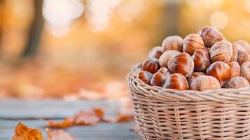 Freshly harvested hazelnuts in a woven basket. A woven basket filled with fresh hazelnuts rests on a wooden table surrounded by autumn leaves and soft sunlight. photo