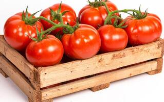 Fresh red tomatoes in a wooden crate display. Bright red tomatoes are arranged neatly in a wooden crate, showcasing their freshness and rich color. photo