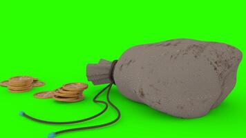 golden coins in pouch with green background photo