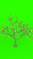 lemon tree with green background photo