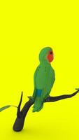 parrot on branch with green background photo