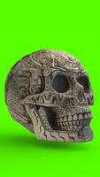 skull with green background photo