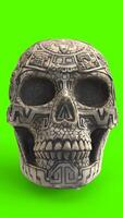 skull with green background photo
