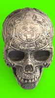 skull with green background photo